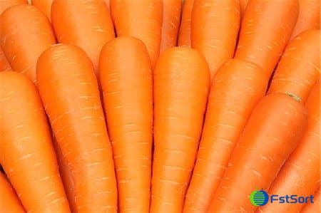 Carrots washing sorting machine Carrots washing sorting machine