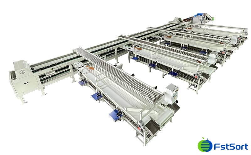 images/1661917033751tomato packing machine.jpg