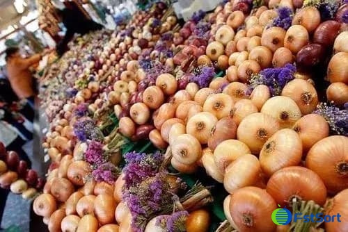 Swiss onion Swiss onion