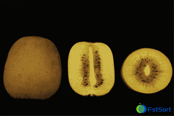 kiwi fruit sorting machine kiwi fruit sorting machine