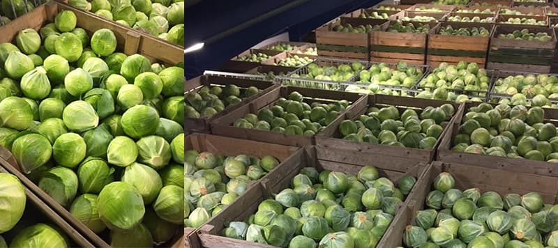 Brussels sprout grader