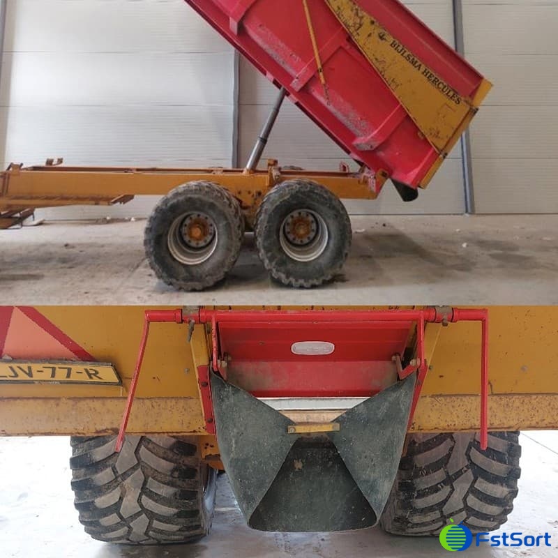 Brussels sprout Brussels sprout