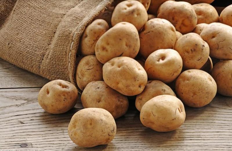 potato sorting machine.jpg