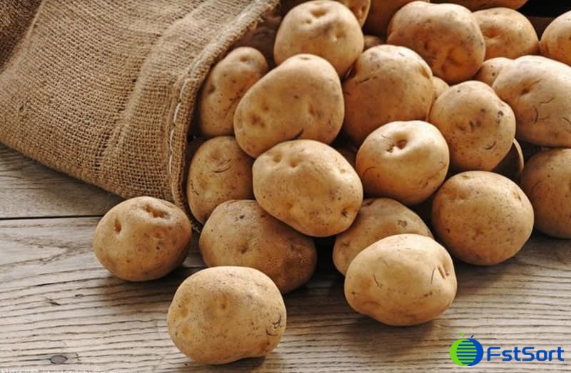 potato sorting machine.jpg potato sorting machine.jpg