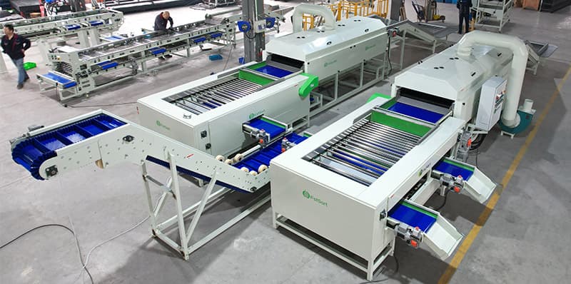 potato cleaning sorting machine.jpg