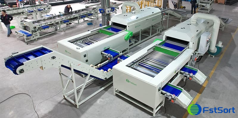potato cleaning sorting machine.jpg potato cleaning sorting machine.jpg