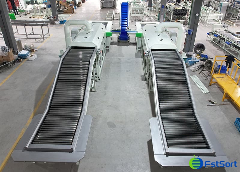 potato processing line.jpg potato processing line.jpg
