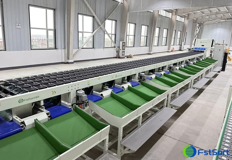 Optical sorting line