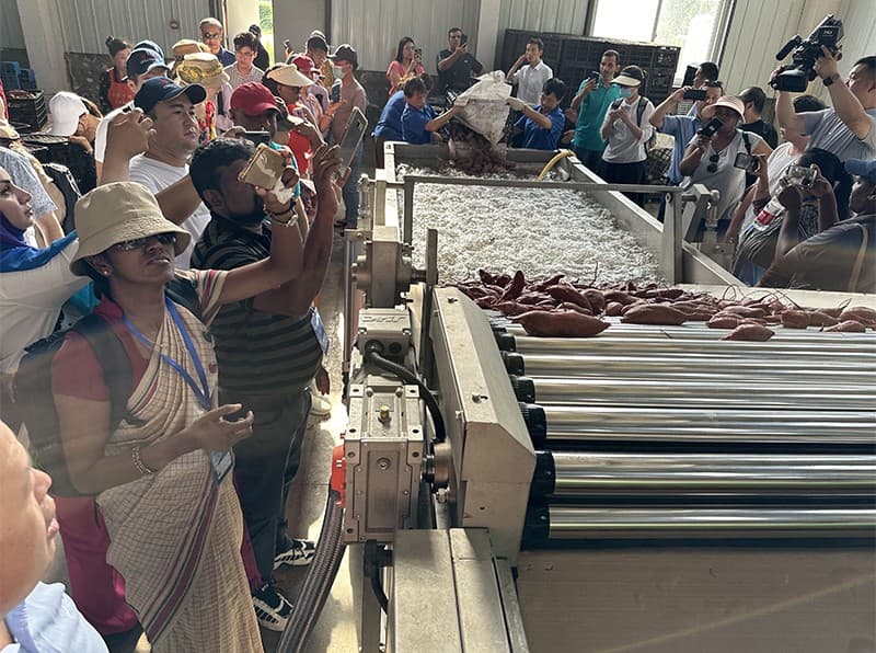 images/sweet potato sorting machine.jpg
