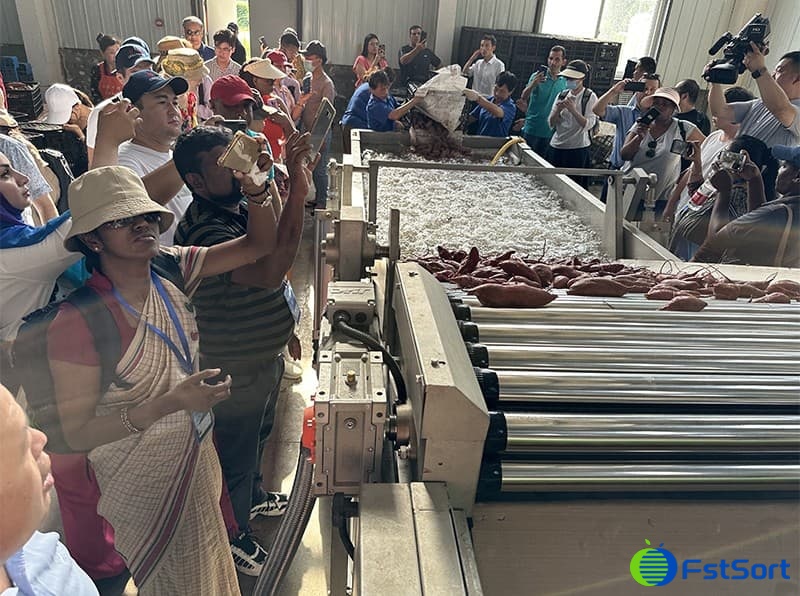 images/sweet potato sorting machine.jpg