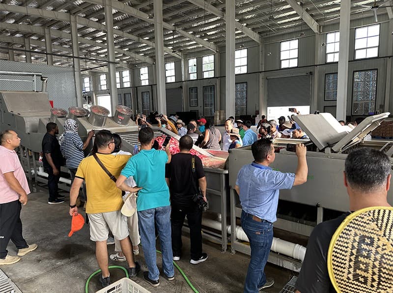 images/sweet potato cleaning drying sorting packing line.jpg