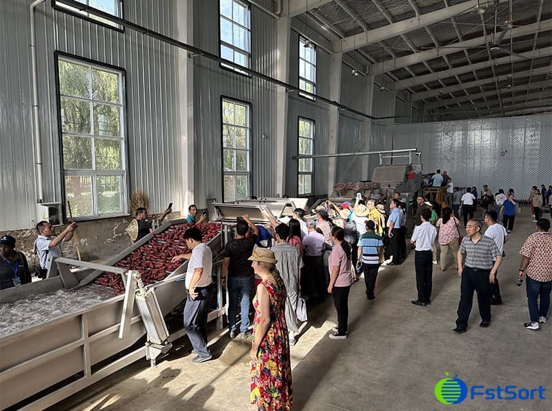 images/sweet potato washing sorting machine.jpg