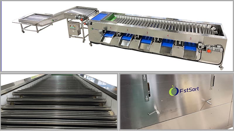 Mexico lime sorting grading machine