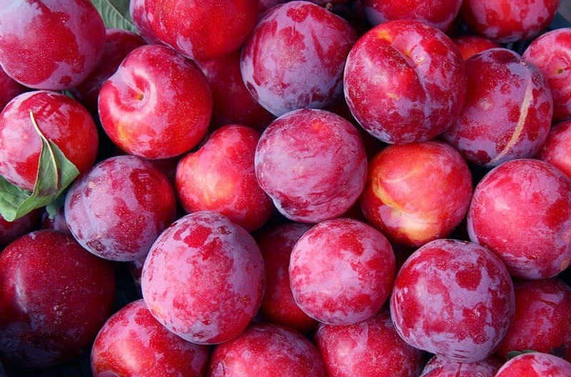 images/1693381413298plums.jpg