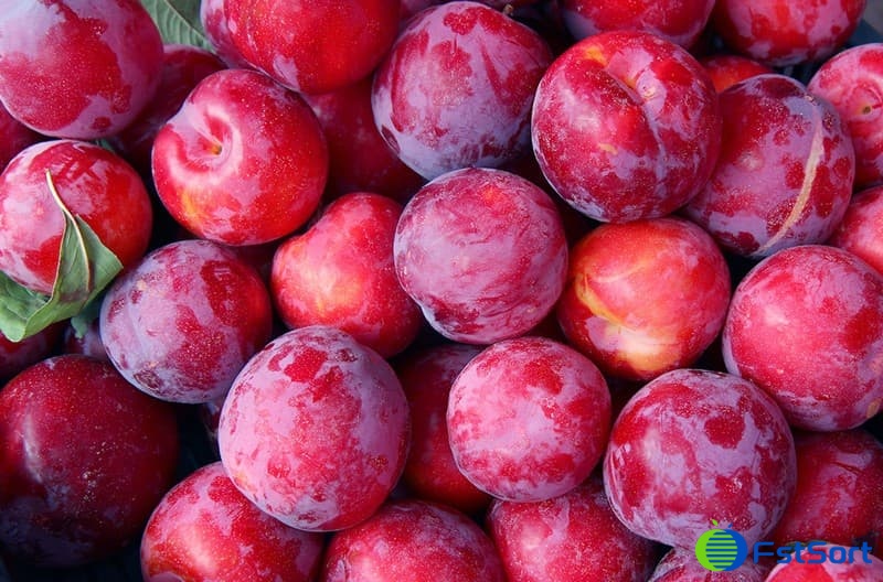 images/1693381413298plums.jpg