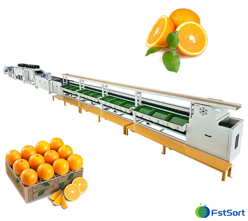 Orange Sorting Line | FstSort
