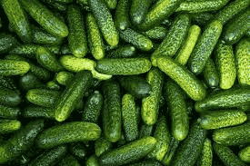 images/1701849671212gherkin.png