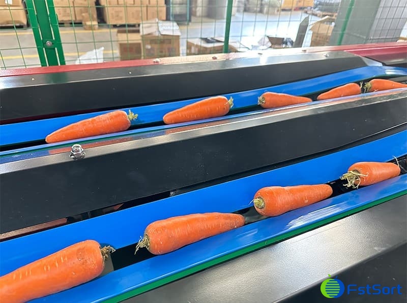 Optical sorting technology helps high-quality development of carrot market