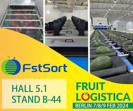 clasificación de frutas y verduras