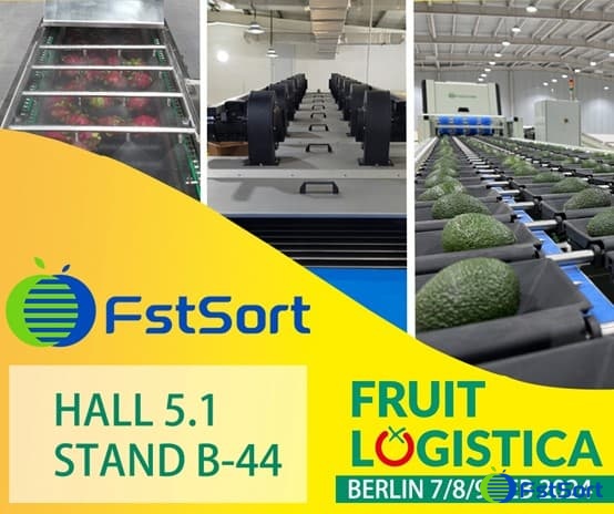 clasificación de frutas y verduras clasificación de frutas y verduras