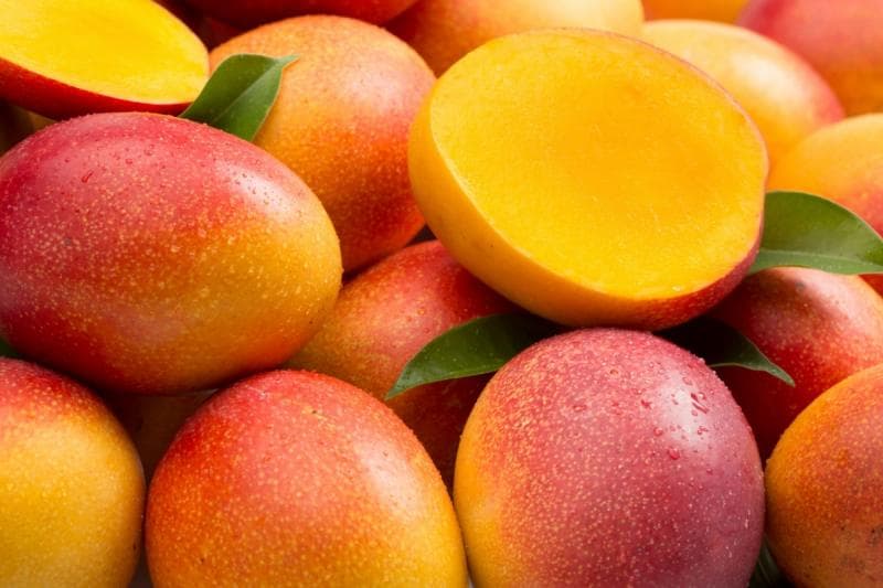 images/1709711507370mango.jpg