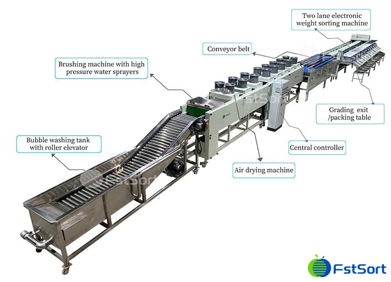 Why fruit sorting is important