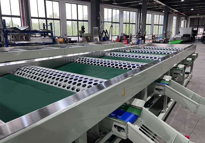 The most popular garlic sorter in Egypt