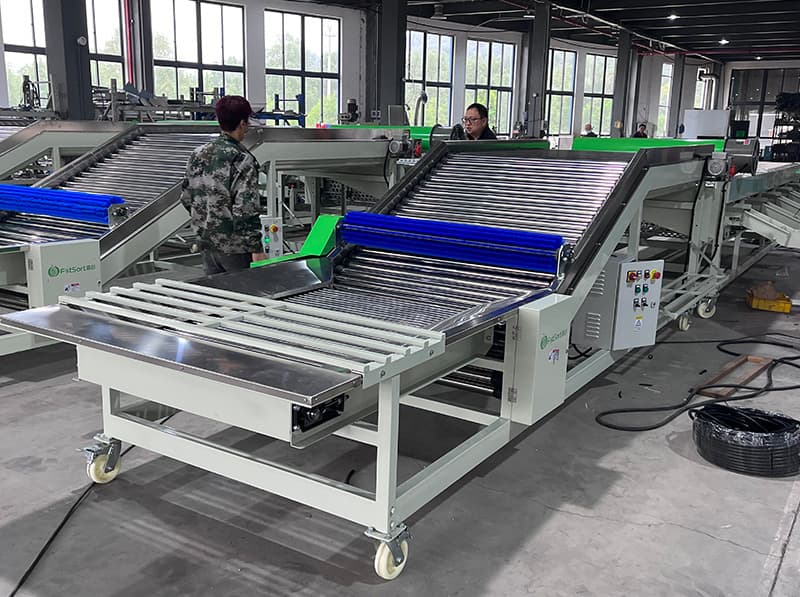 The most popular garlic sorter in Egypt