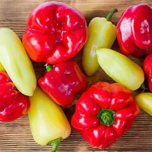 Bell Peppers Washing Drying Sorting Distributing Line