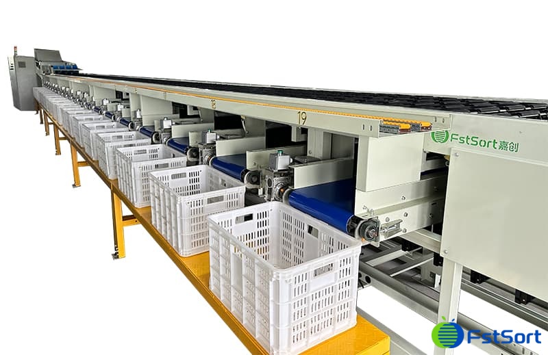 bell pepper sorting grading machine.jpg bell pepper sorting grading machine.jpg