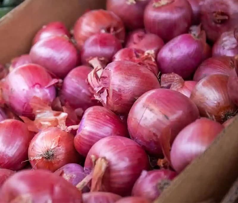 ONIONS.jpg