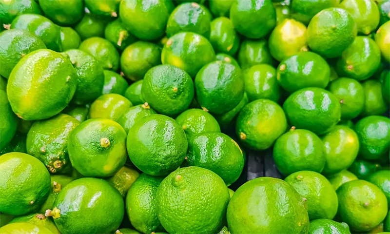 images/1718090227958limes.jpg