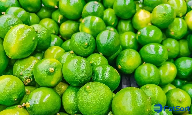 images/1718090227958limes.jpg