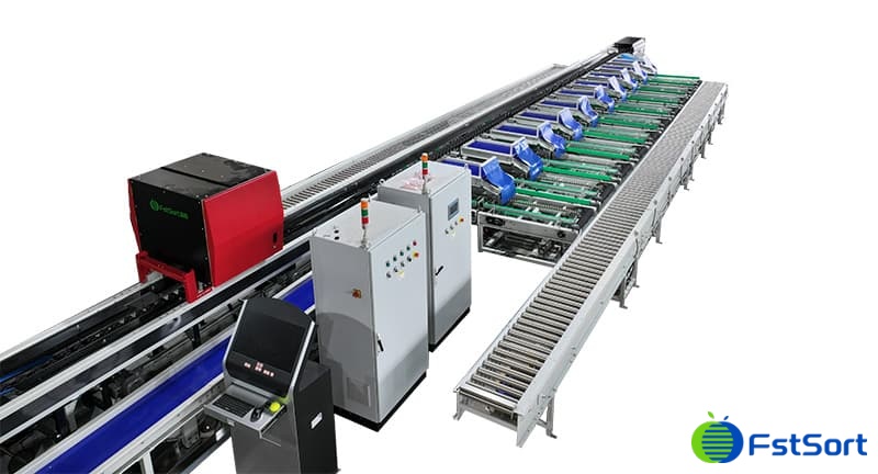 images/1722338490139citrus optical sorting packing line.jpg