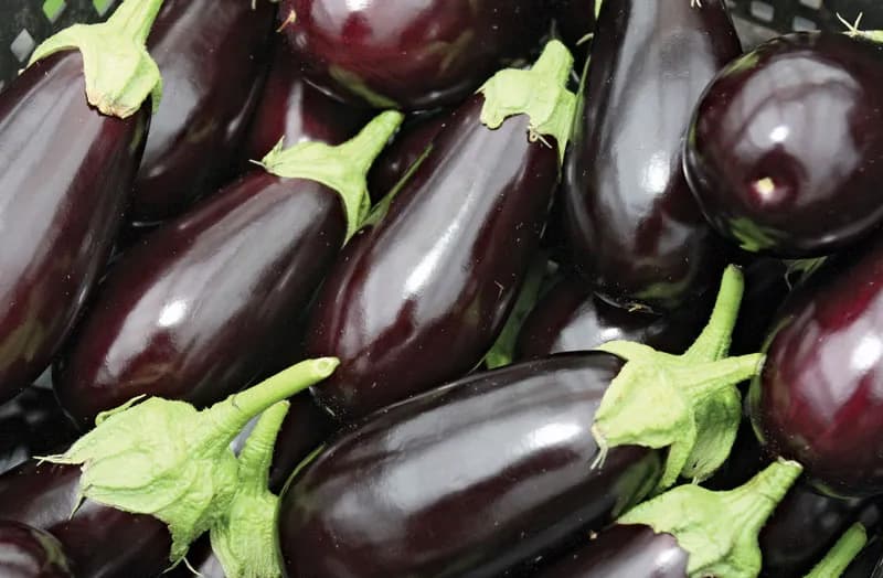 eggplant.jpg