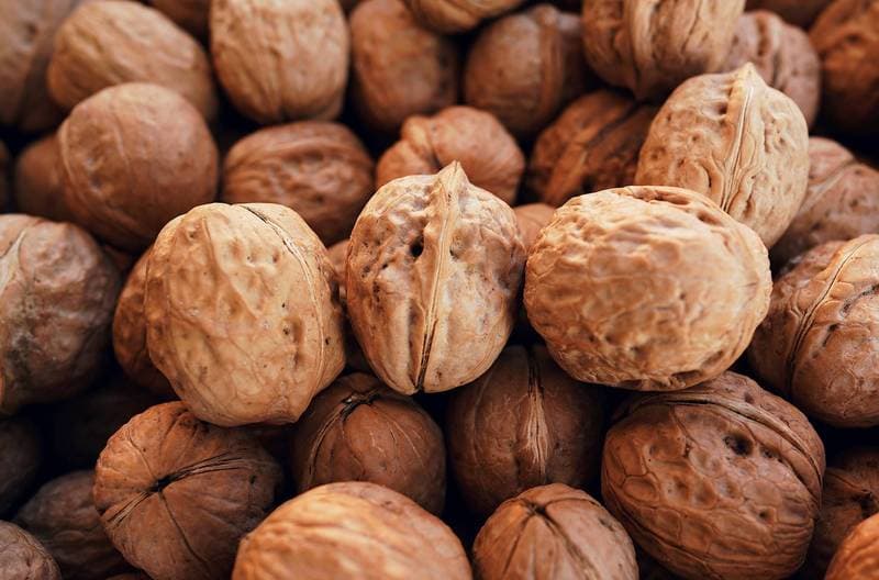 walnut.jpg