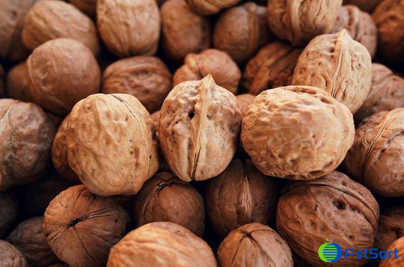 walnut.jpg walnut.jpg