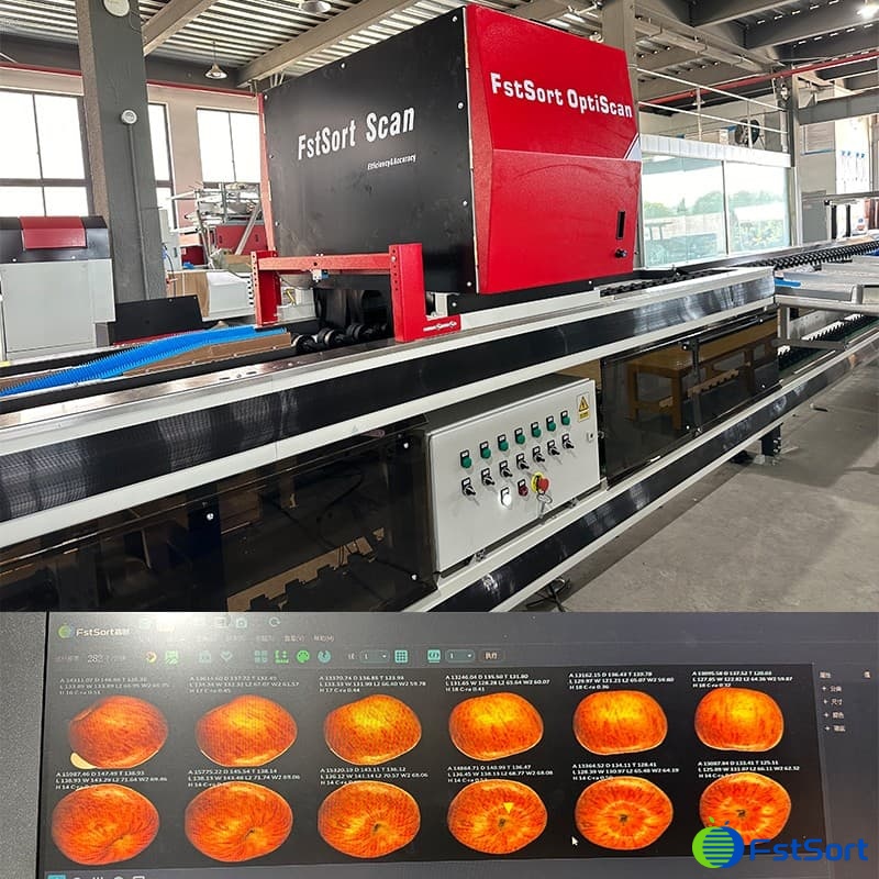 Fstsort will showcase innovative sorting technologies at Interfresh ...