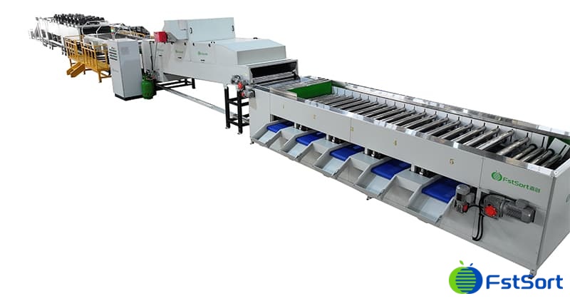 images/1729159959131citrus processing line.jpg