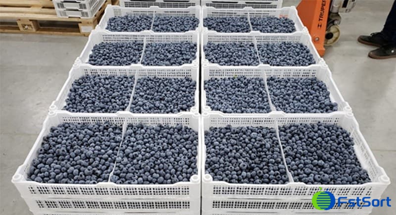 blueberries.jpg blueberries.jpg