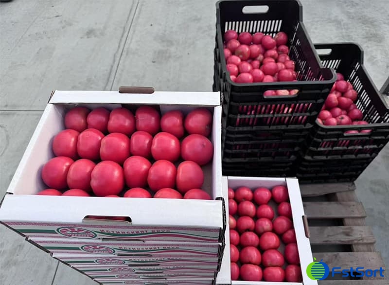 tomates.jpg tomates.jpg