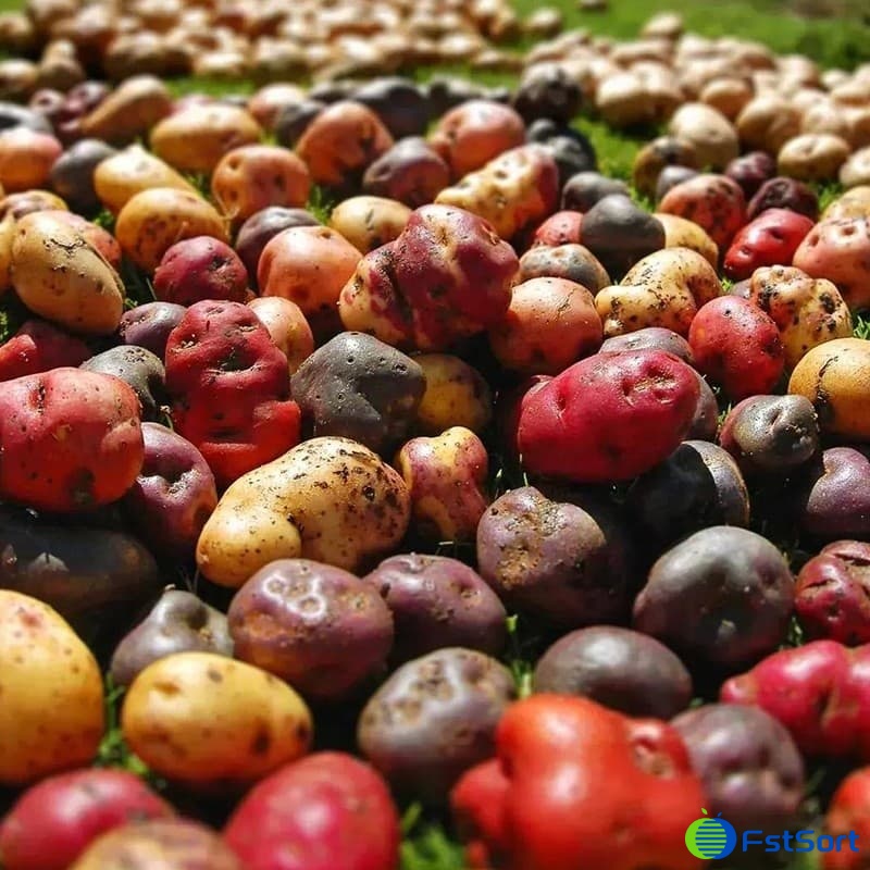 patatas.jpg patatas.jpg