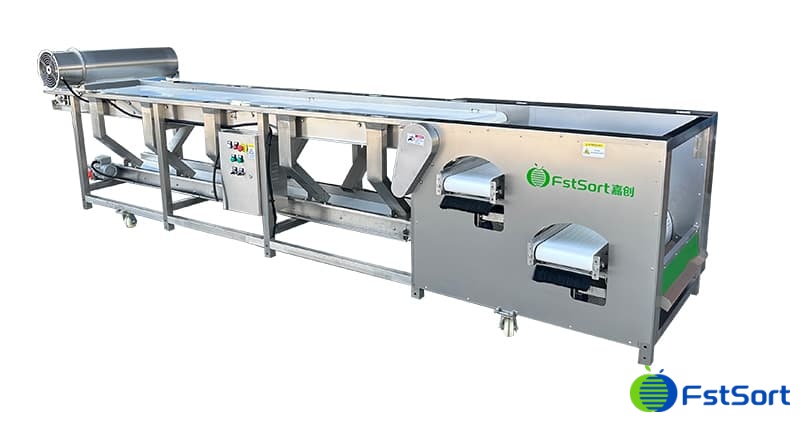 images/17321790888353 sizes blueberry sorting machine.jpg