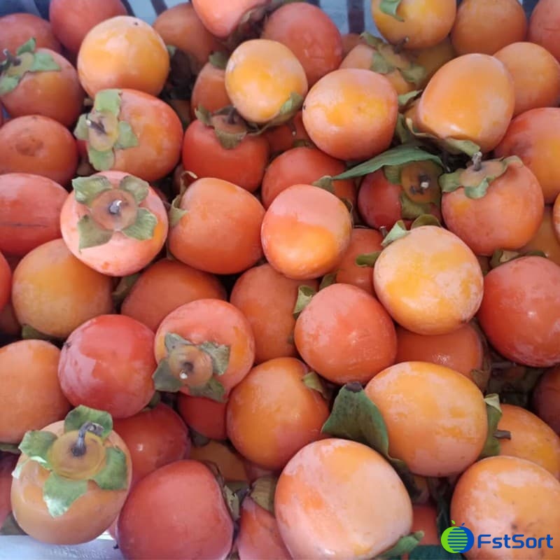 images/1732521753978persimmons.jpg