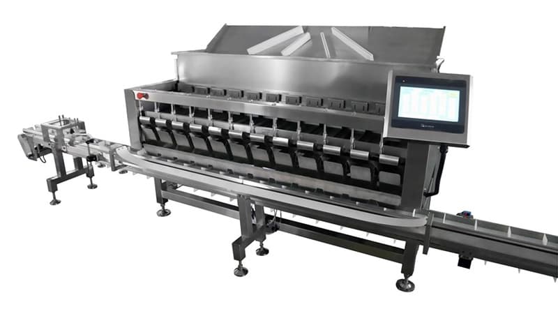 images/1733368326484blueberry packing machine.jpg