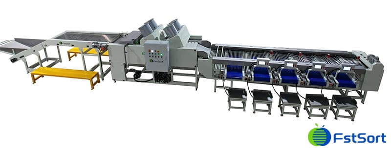 cherry-tomato-washing-drying-grading-lines.jpg cherry-tomato-washing-drying-grading-lines.jpg