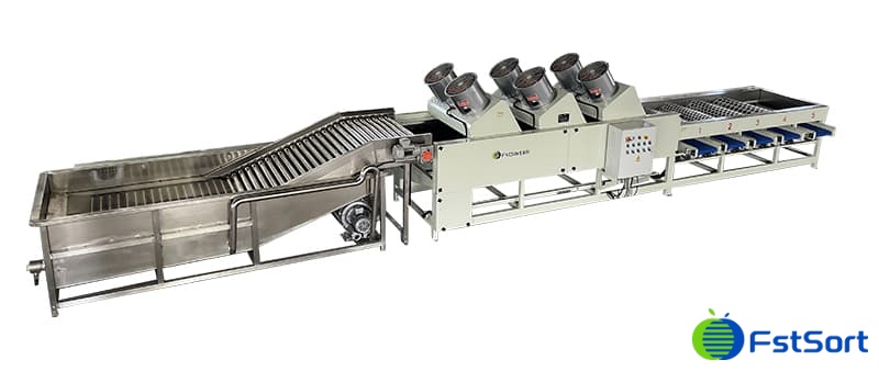 mandarin-cleaning-sorting-line.jpg mandarin-cleaning-sorting-line.jpg