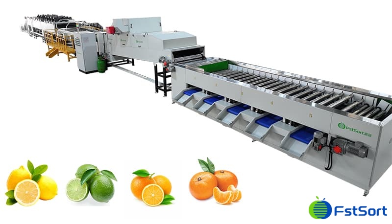 citrus-washing-drying-waxing-grading line.jpg citrus-washing-drying-waxing-grading line.jpg