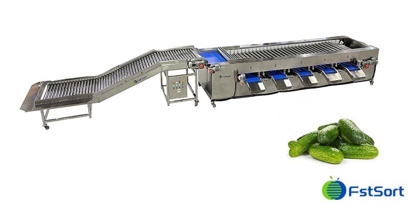 Mini cucumbers grading machine