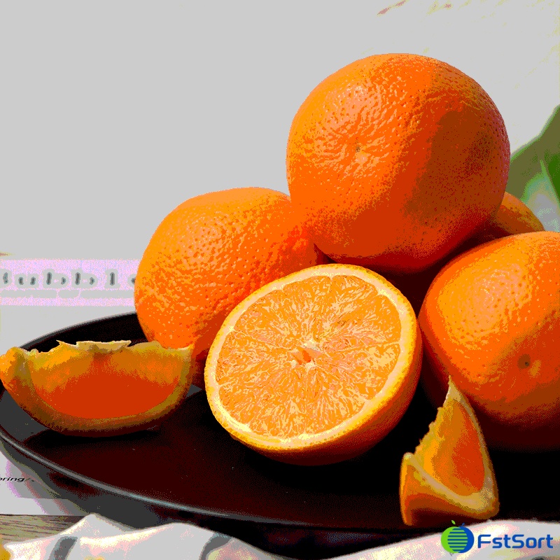 orange.gif orange.gif